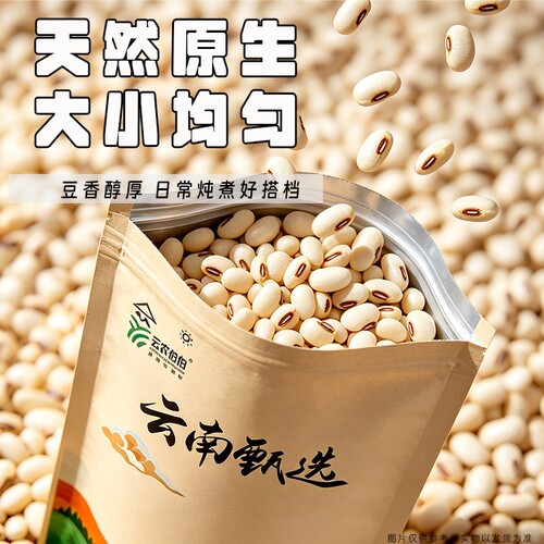蚕豆干货生大粒生干蚕豆特产胡豆生蚕豆农家佛豆生干货包邮