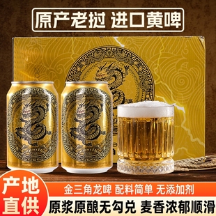原装 BEER正宗麦香金三角龙啤 进口老挝啤酒320ml黄啤DRAGON