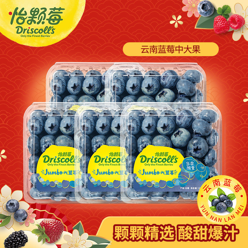 怡颗莓云南蓝莓中果大果新鲜水果满满花青素酸甜脆爽125g可食用