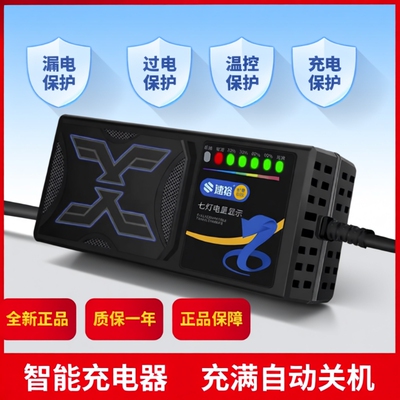 【次日达】全网热销电动车充电器