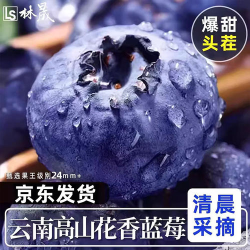 云南花香蓝莓次日达新鲜蓝梅鲜果水果高山L25送礼品物盒大果罕见