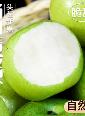 安徽正宗砀山梨整箱水果梨