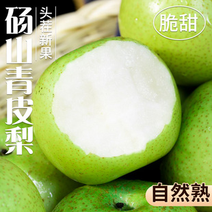 应季梨子新鲜10斤安徽正宗砀山梨砀山酥梨整箱水果梨雪香现摘青皮