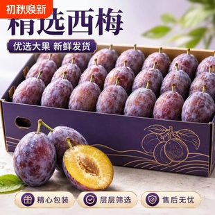 正宗新疆西梅大果当季新鲜水果时令法兰西脆甜蓝蜜整箱李子包邮