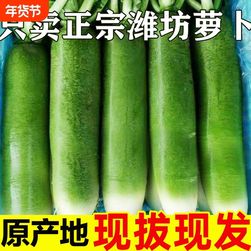 山东潍坊现摘水果萝卜新鲜甜脆水果型生吃正宗青绿萝卜脆甜年货节,水产肉类/新鲜蔬果/熟食,萝卜/胡萝卜,淘宝优惠券,粉丝福利购,淘宝优惠卷