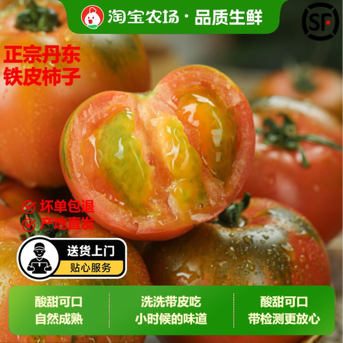 丹东草莓柿子番茄铁皮柿子绿腚新鲜生吃西红柿自然熟正宗东北顺丰