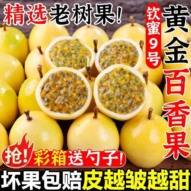 广西钦蜜9号黄金百香果5斤包邮大果特大果水果新鲜当季整箱九号