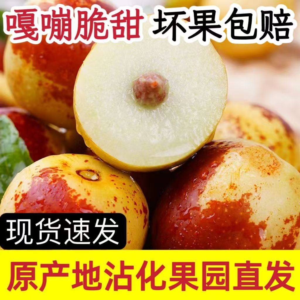 山东沾化冬枣新鲜脆甜大枣冰糖冬枣果园直发当季孕妇大枣现摘现发