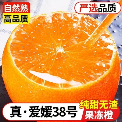 四川38号果冻橙新鲜橙子当季水果皮薄汁多颗颗精选新鲜又好吃