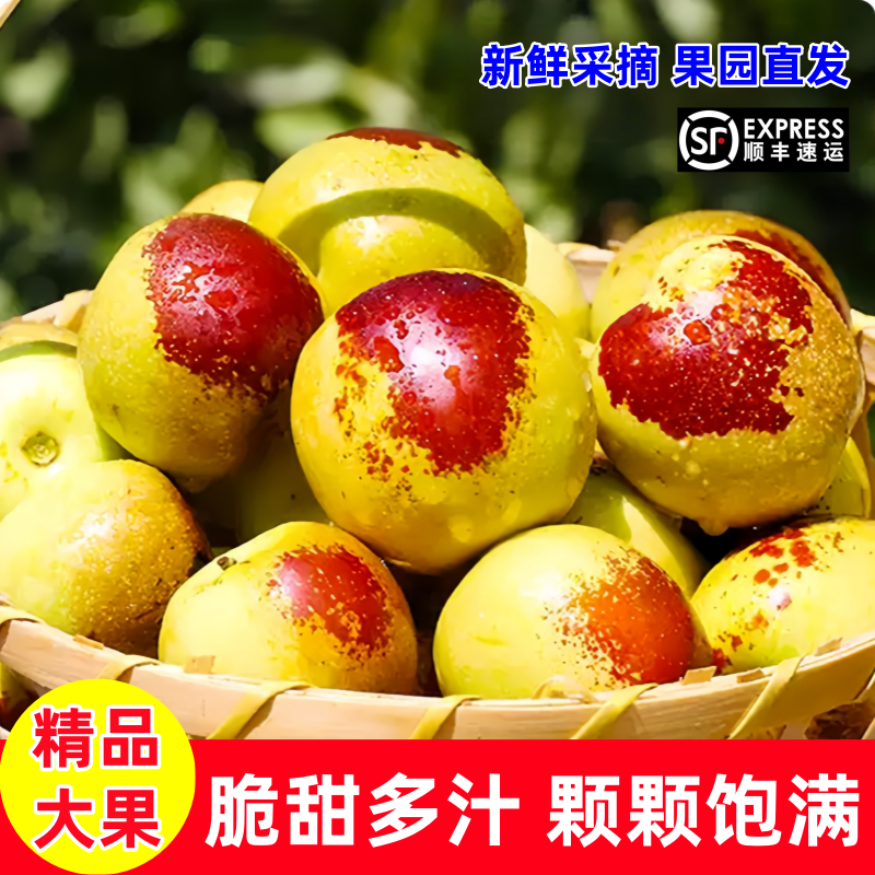顺丰包邮正宗冬枣新鲜大果应季整箱枣子现摘脆枣冰糖大枣当季水果