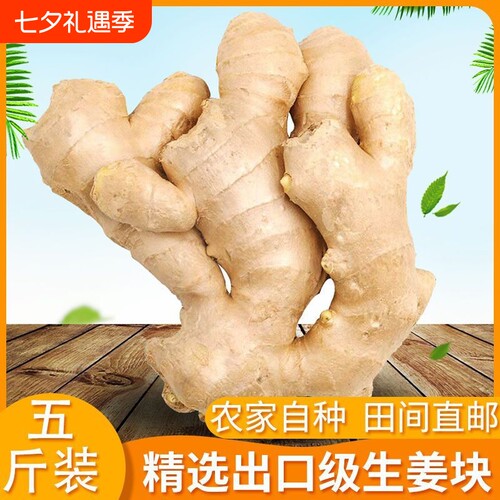 山东大姜优质生姜新鲜包邮