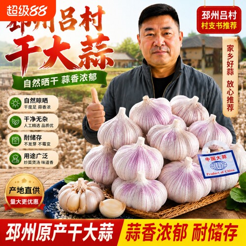 2026新蒜邳州大蒜果实产地直发紫白皮干大蒜头糖醋直供精选发芽