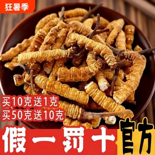 冬虫夏草2026西藏那曲头期大断草干货正宗官方旗舰店正品营养滋补