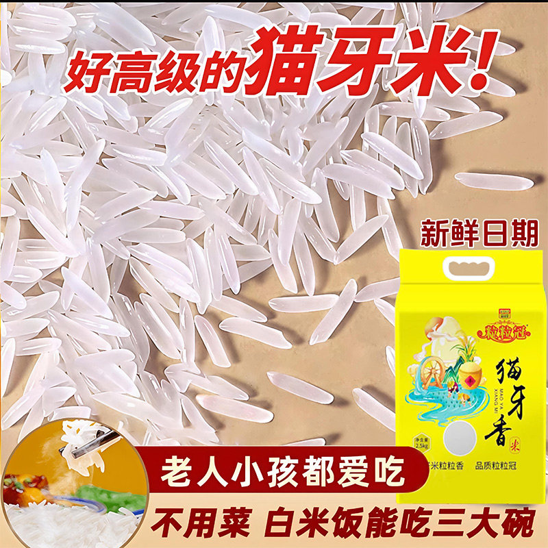 正宗长粒猫牙米2025年新米真空山泉水米原生态大米丝苗米长粒香米