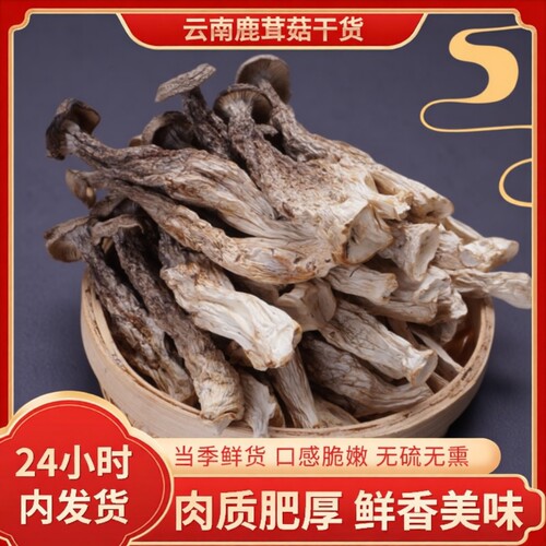 精品一级鹿茸菇菌脆脆菇大条