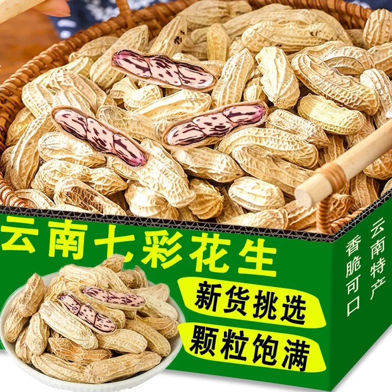 2025云南七彩花生晒干带壳彩色花生米零食坚果新货小包装袋装年货