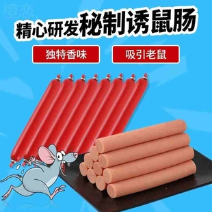 老鼠诱饵捕鼠专用诱饵肠精心研发秘制香味引诱剂捕鼠神器特效无毒