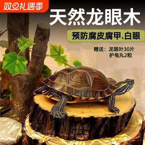 乌龟天然龙眼木晒台龟缸造景沉木摆件龙眼养龟休息晒背台爬台螃蟹