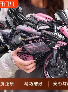 兼容乐高宝马摩托车M1000RR积木跑车拼装模型高难度大型男孩玩具