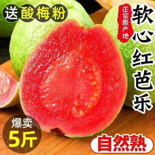 正宗福建奶油红心番石榴心软新鲜水果香甜双拼芭乐白心鸡屎批发