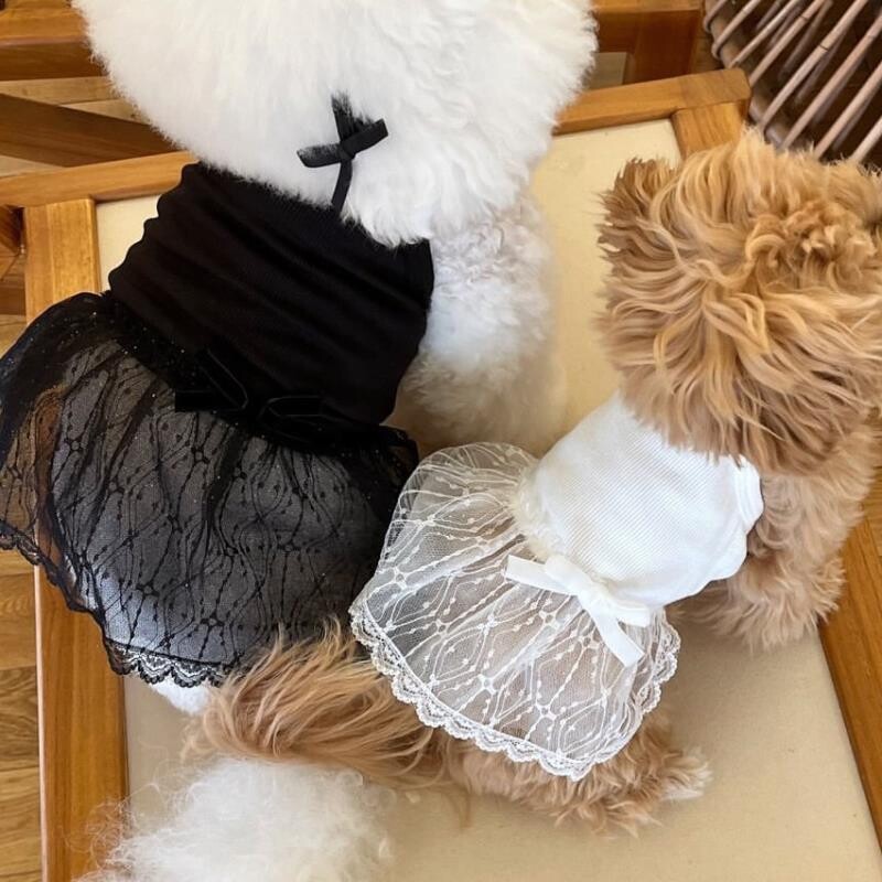 春夏款新品狗狗猫咪蕾丝吊带裙子泰迪博美贵宾比熊小型犬宠物衣服