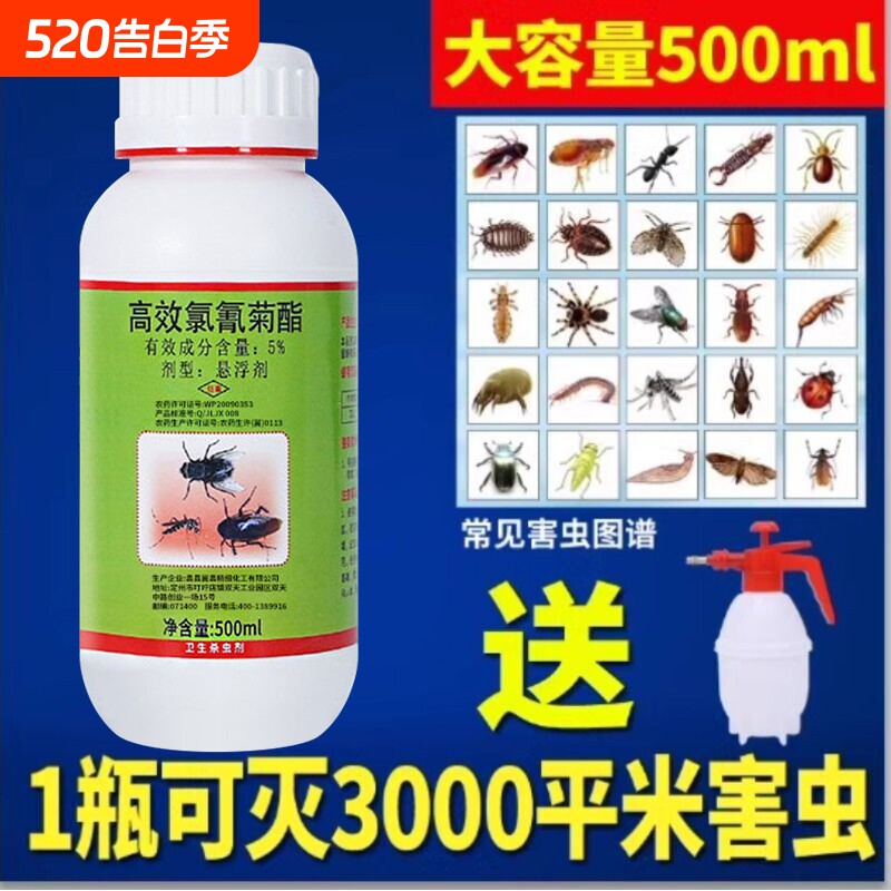 灭蟑螂神器跳蚤蚂蚁白蚁药家用室内下水道杀虫剂臭虫药蜘蛛喷雾