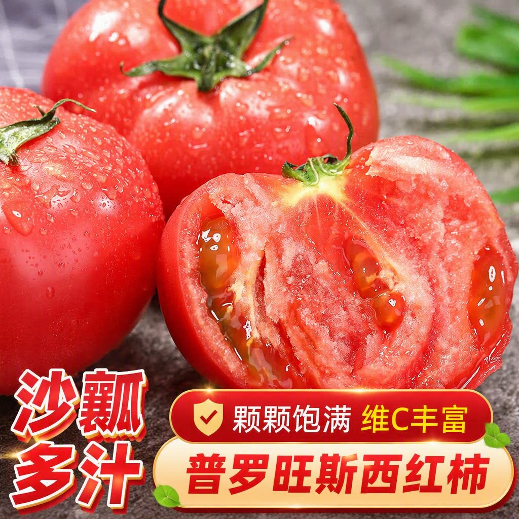 海阳普罗旺斯西红柿沙瓤无筋新鲜红色无核水果生吃成熟当季小番茄
