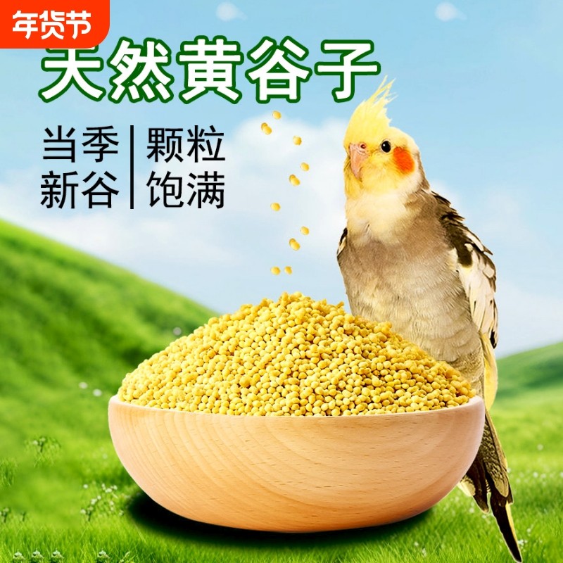 鹦鹉鸟粮带壳黄谷子训练奖励零食牡丹虎皮专用粮新鲜小米饲料鸟类