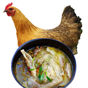 正宗散养黄油老母鸡鲜冻老母鸡麻鸡活鸡现杀月子鸡走地鸡批发商用