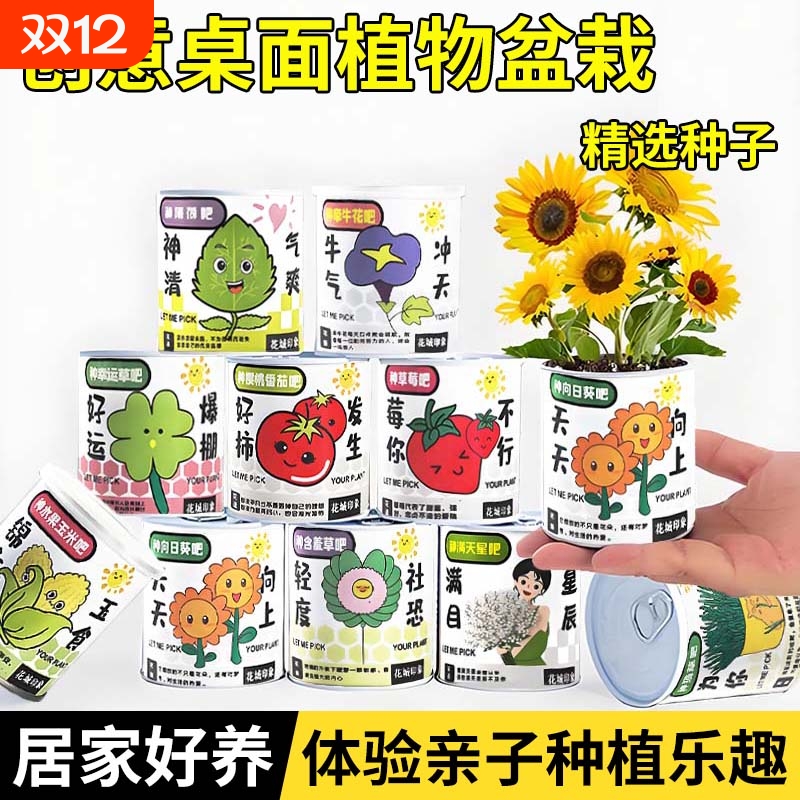 花总裁草室内迷你桌面罐罐