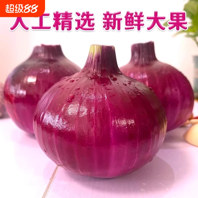 农家自种紫皮水果大洋葱新鲜小洋葱甜味生吃蔬菜不辣红皮大圆葱头