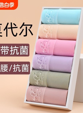 莫代尔女士老年人内裤高腰全棉裆大码胖妈妈三角裤头紫色平角抗菌