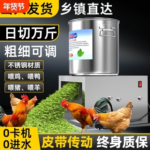 新款皮带传动碎菜机家用商用养殖喂鸡多功能碎草机蔬菜切碎机