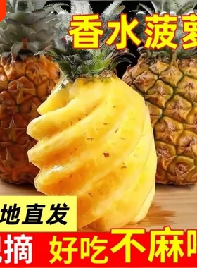 正宗中山神湾菠萝3斤送刀包邮当季现摘胜泰国小菠萝海南香水