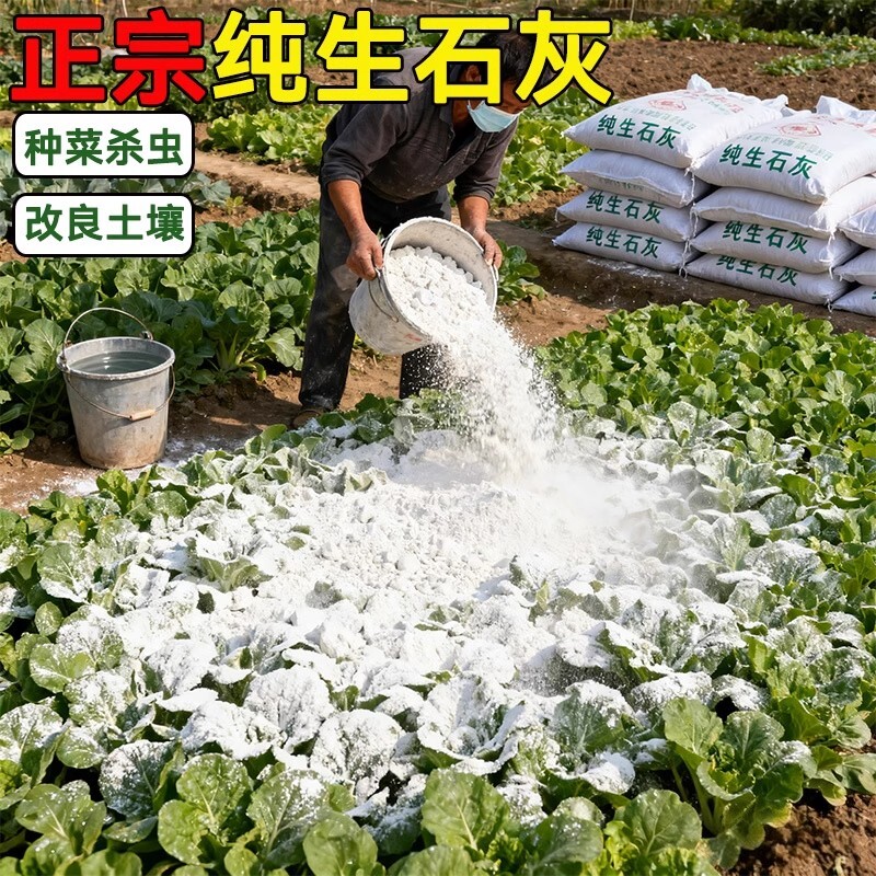 生石灰粉杀虫种菜消毒驱虫刷果树木改良土壤干燥剂稻壳杀菌草木灰