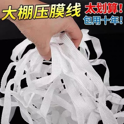 大棚压膜带加厚专用压膜绳绑带拉枝绳白色涤纶扁带防晒耐用固定