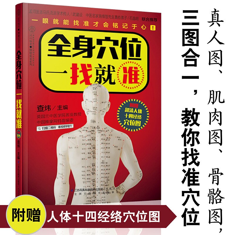 【正版速发】全身穴位一找就准 经络穴位按摩大全 人体穴位图书中医