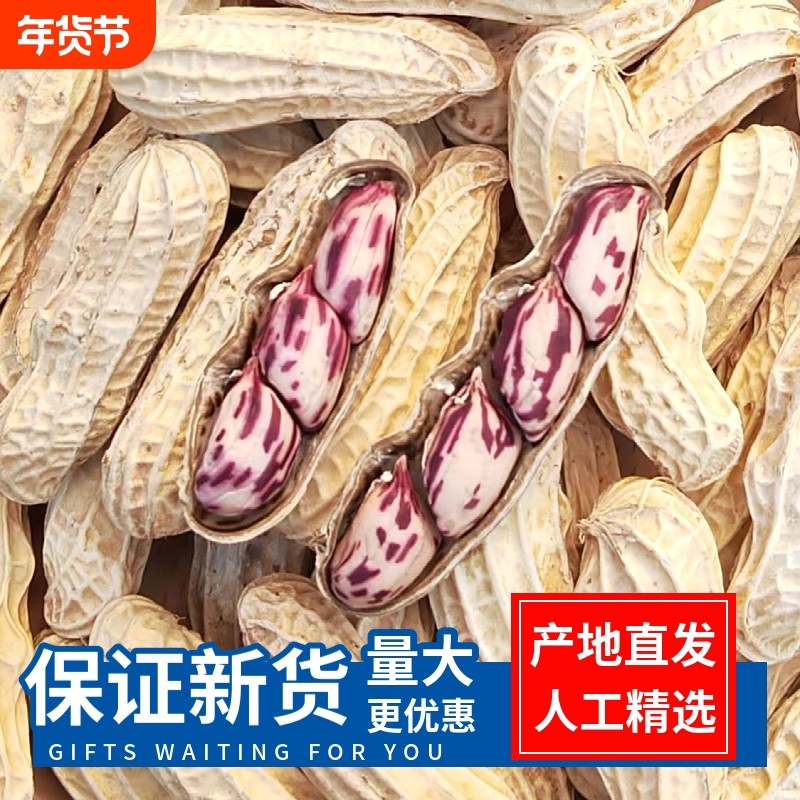 2025带壳七彩花生云南普洱晒干五彩花熟花生零食水煮咸干健康特色,零食/坚果/特产,花生,淘宝优惠券,粉丝福利购,淘宝优惠卷