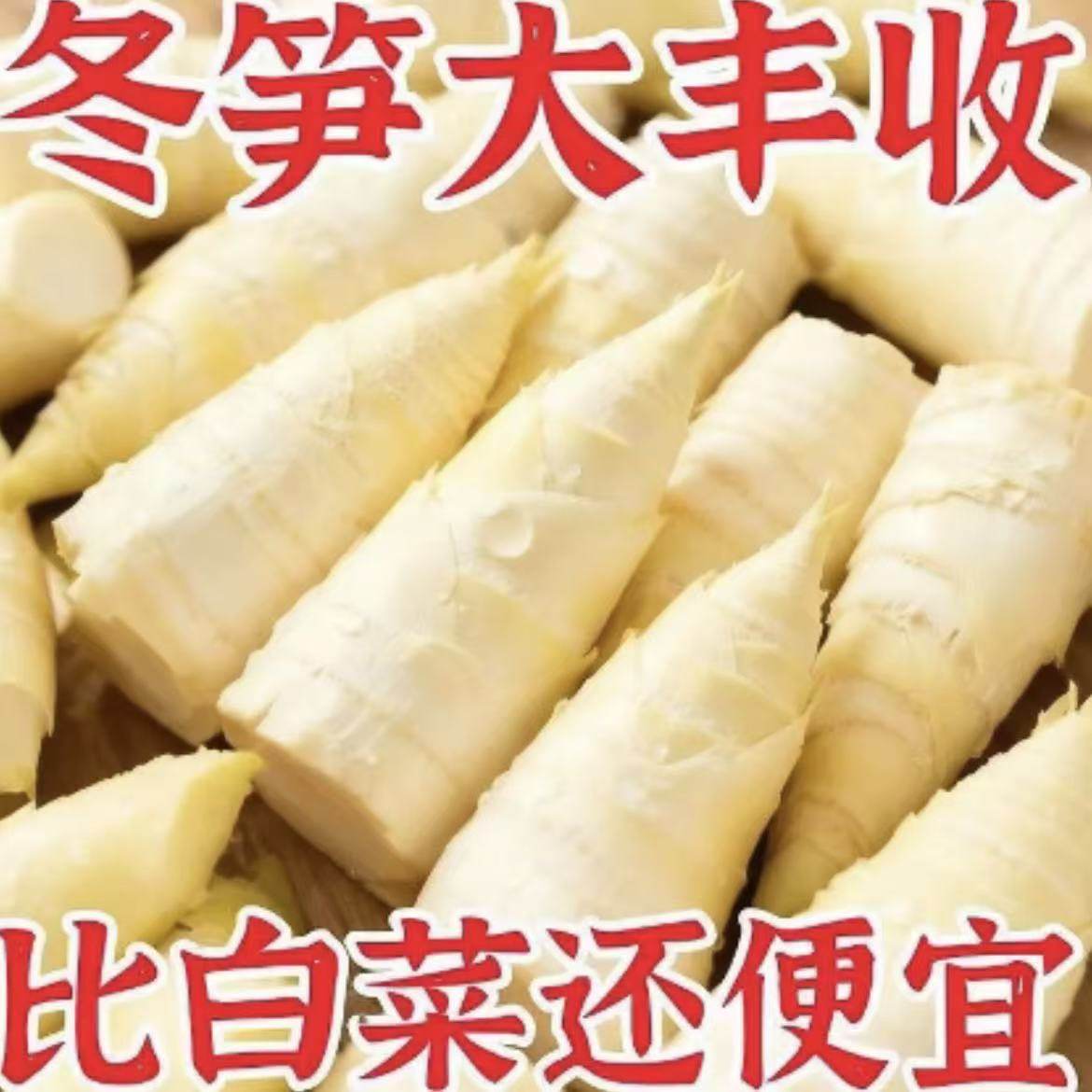 江西竹笋冬笋新鲜笋尖5斤整箱装多规格时令蔬菜火锅商用批发