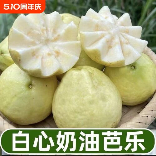 福建软糯奶油冰淇淋口感芭乐白心番石榴新鲜水果鸡屎果软心红心
