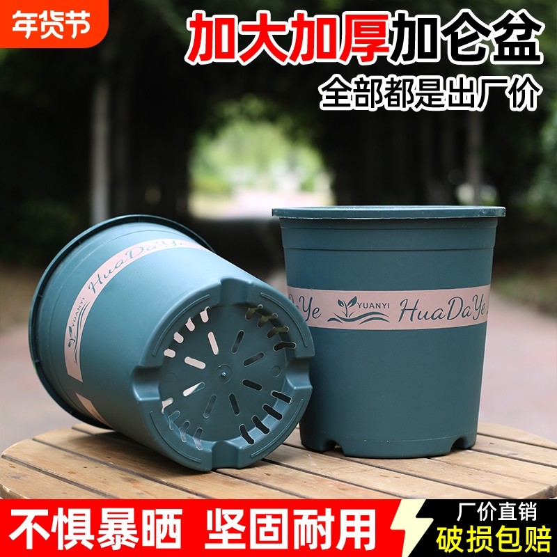 花大爷三代加仑盆控根圆形简约多排水孔花卉绿植专用耐用树脂花盆,鲜花速递/花卉仿真/绿植园艺,花盆,淘宝优惠券,粉丝福利购,淘宝优惠卷