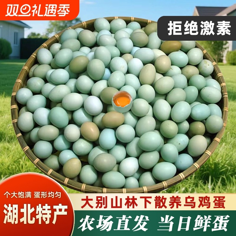 正宗乌鸡蛋大别山散养孕妇月子蛋初生蛋新鲜谷物蛋绿壳农家土鸡蛋