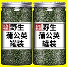 特级长白山蒲公英茶叶中药材糖尿人专用茶金银花贡菊花茶清火冲泡