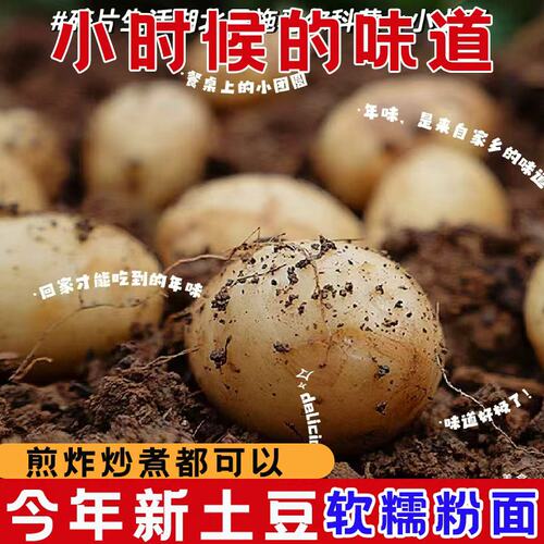 恩施新鲜小土豆富硒土豆