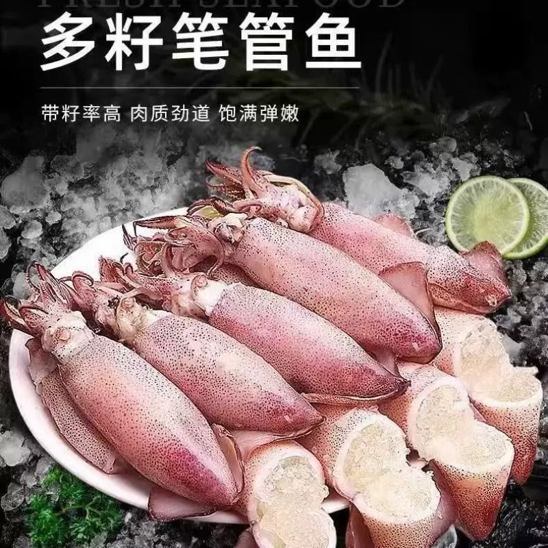 新鲜满籽海兔冷冻籽乌墨鱼仔带籽小鱿鱼笔管鱼纯籽生鲜水产食用