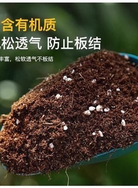 品氏泥炭土丹麦进口多肉营养土花土纯泥炭草炭土包邮养花基质土壤