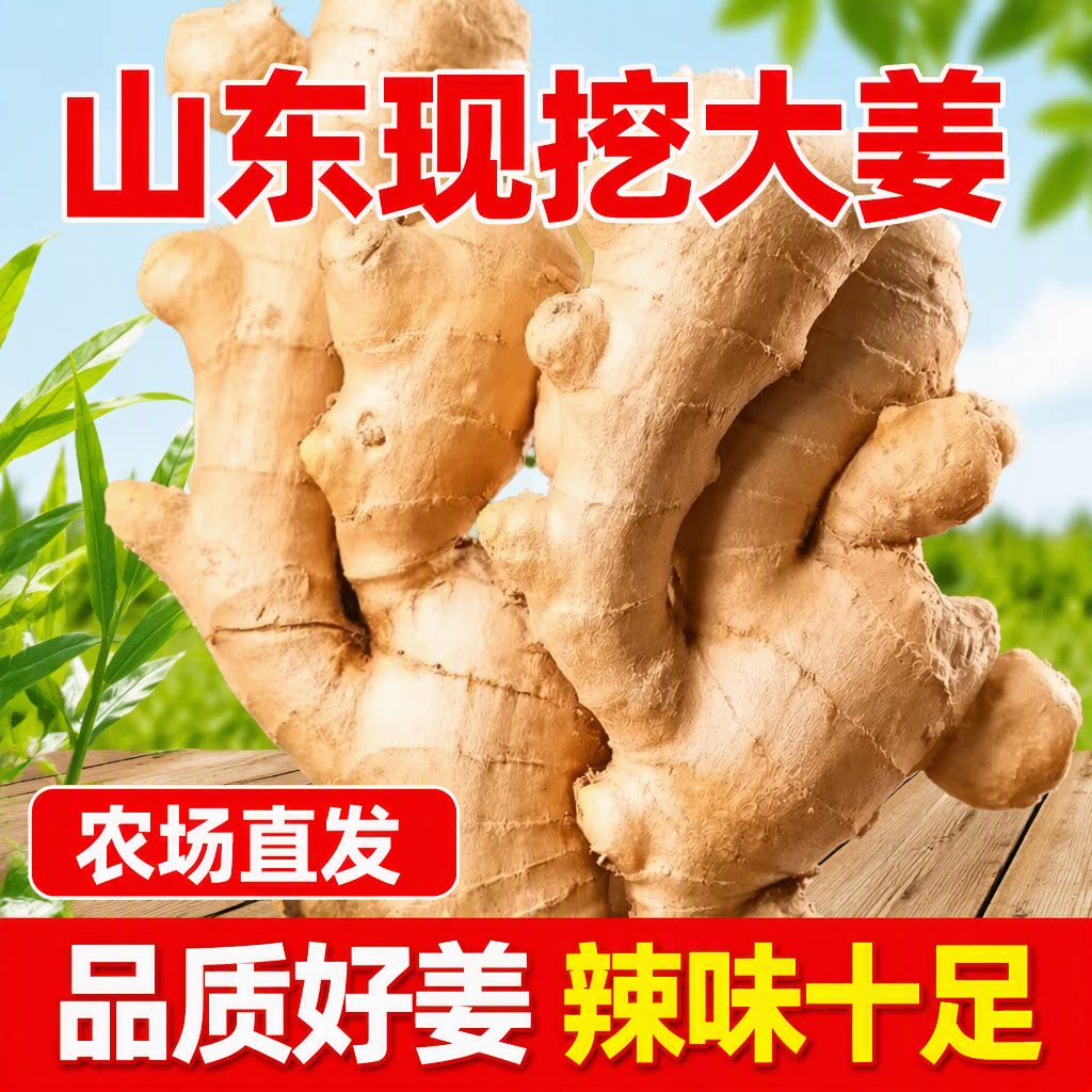 山东特产生姜大黄姜新鲜辛的大块姜1斤3斤5斤包邮农场当季食用图片