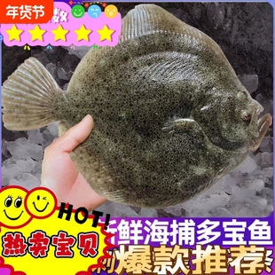 新鲜多宝鱼海鲜比目鱼冷冻鲽鱼偏口鱼雅片鱼高眼鱼海鱼批发包邮