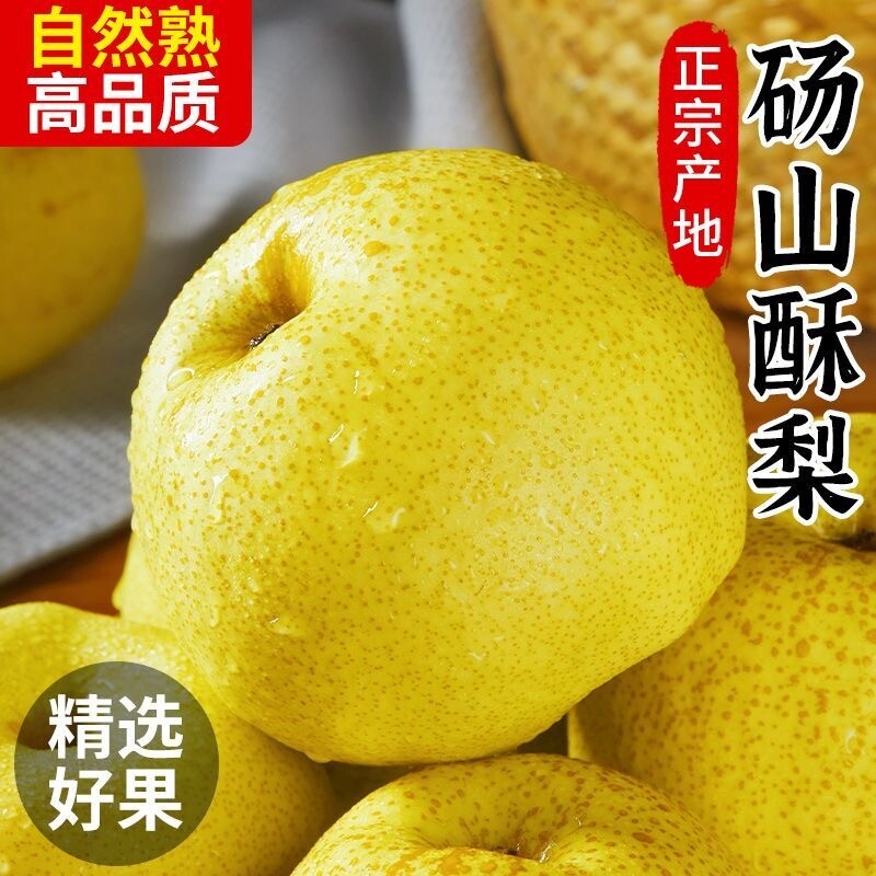 正宗砀山酥梨翠冠梨子安徽新鲜水果翠玉梨当季整箱产地包邮直发