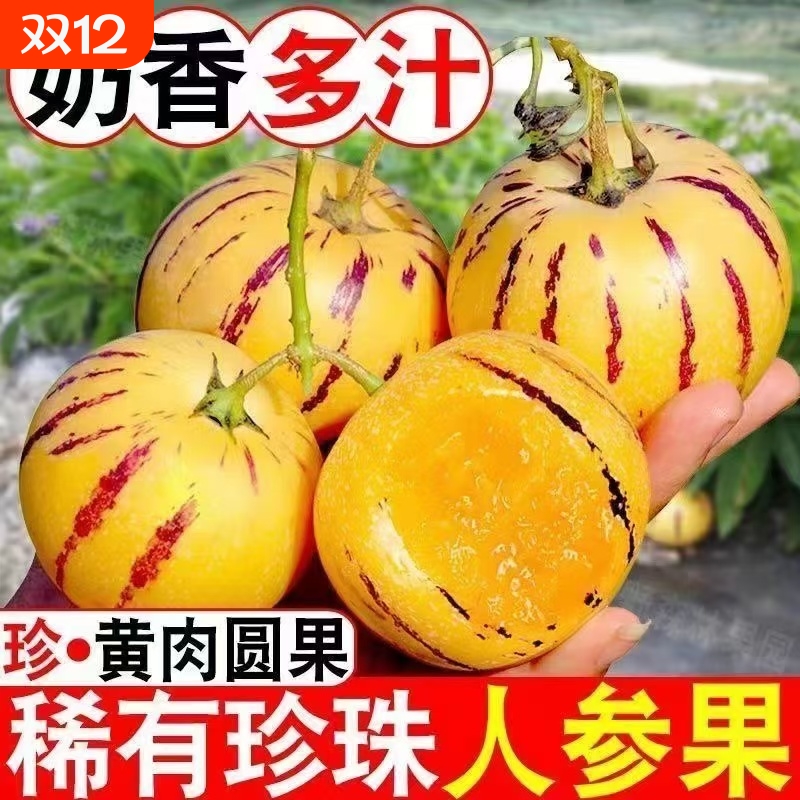 云南石林人参果水果新鲜树上熟应当季七彩黄果圆果人生果生鲜稀有